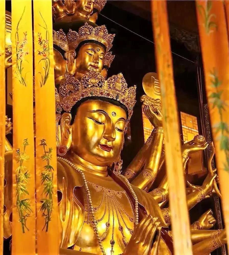 ���չ�ӭ�����������ɵ��գ��Ⱥ��նɣ������������֣�