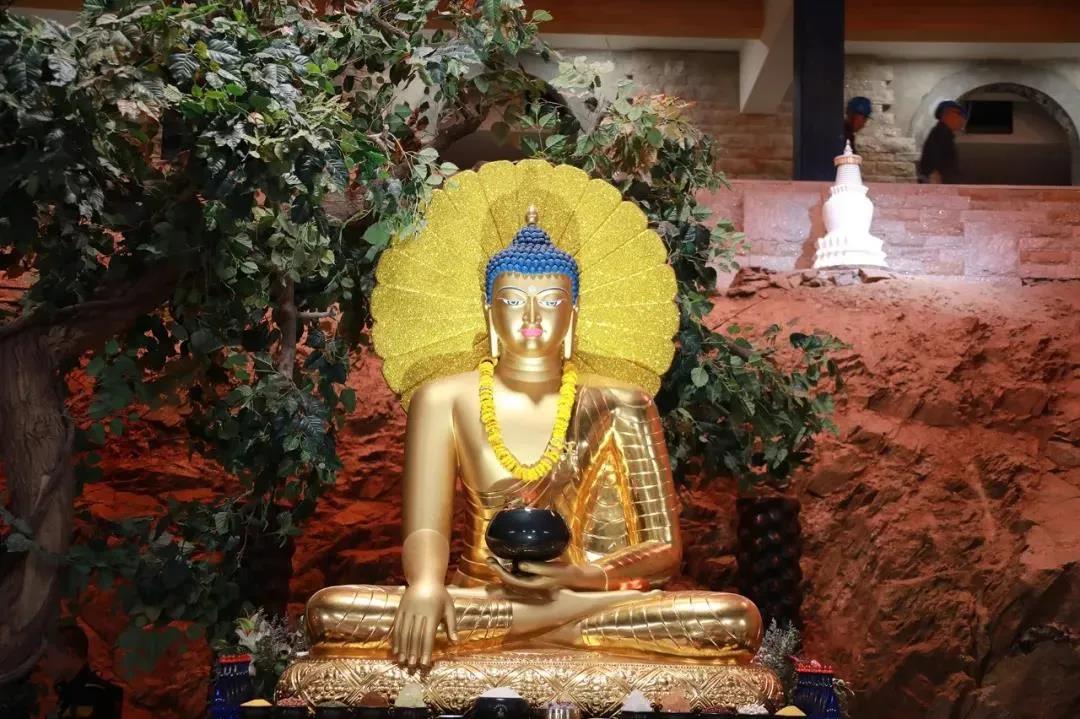 д������ʶ��̵����ѿ�һ���������Ķ��ꡭ��