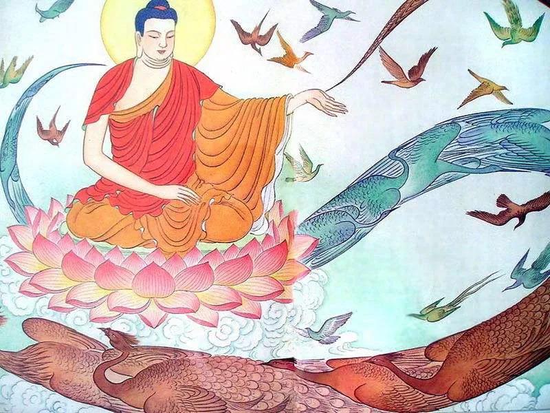 д������ʶ��̵����ѿ�һ���������Ķ��ꡭ��