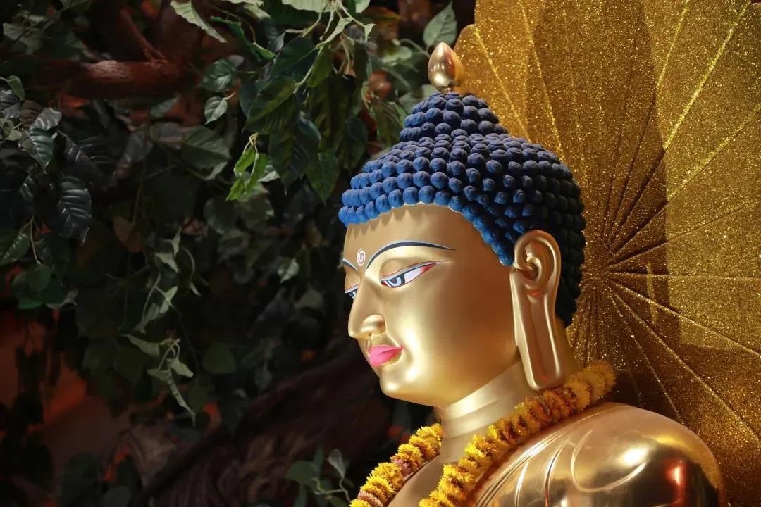 ����վ����ǽ�����ġ������⣡