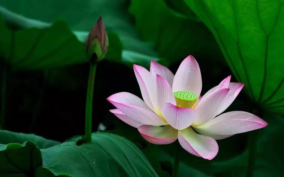 ����������������ֻ���ת�ﰢ���ӷ������