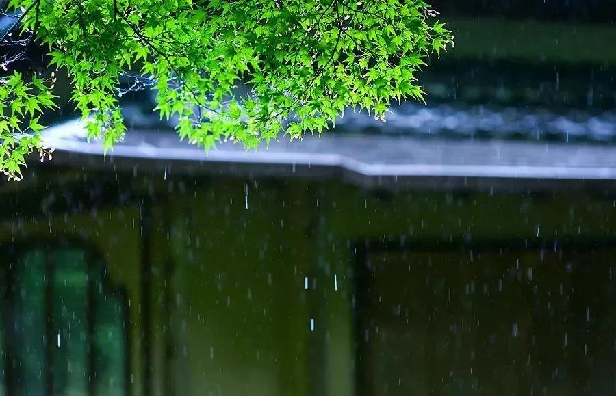 禅宗公案:滴水和尚 禅宗公案:滴水和尚