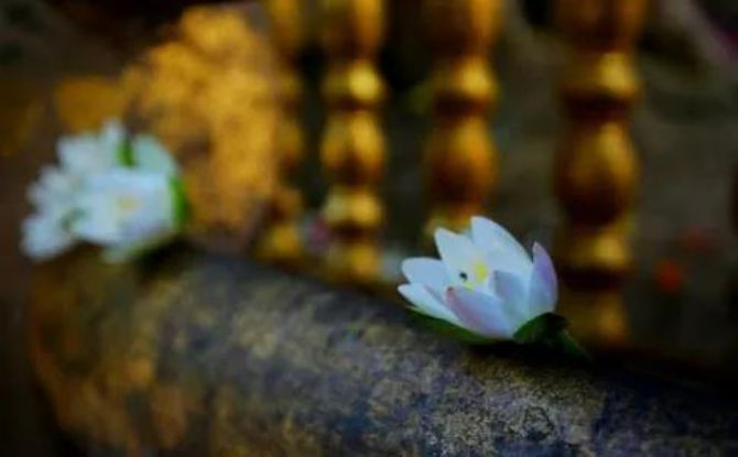 ʲô�ǡ���ϲ���¡���ΪʲôҪ��ϲ���£�