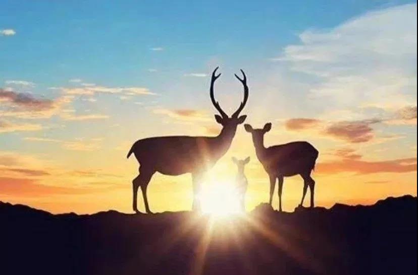 �⼸������£�ǧ���ɱ���������Ӧ��Ϊ����