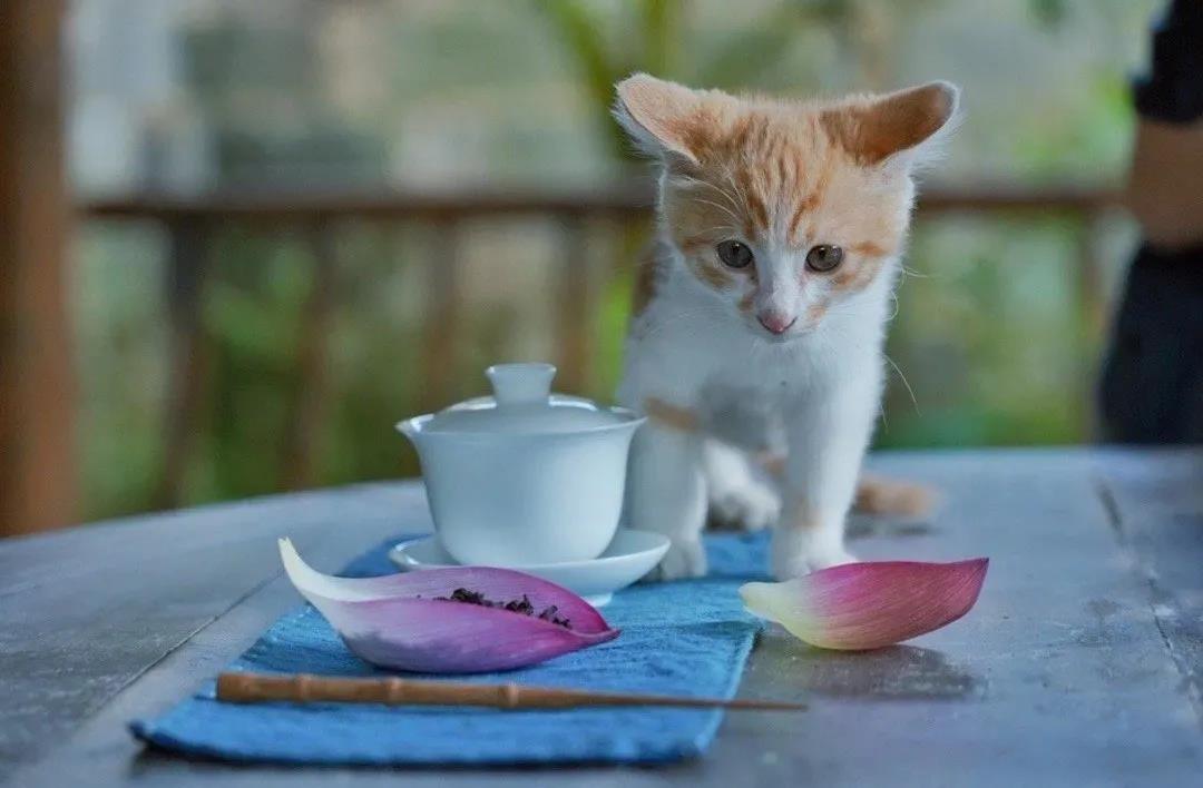 �⼸������£�ǧ���ɱ���������Ӧ��Ϊ����