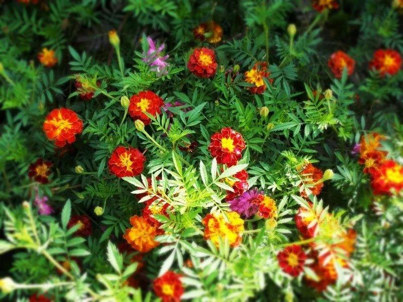 ʲô����ҵ����ҵ���޼�ҵ��