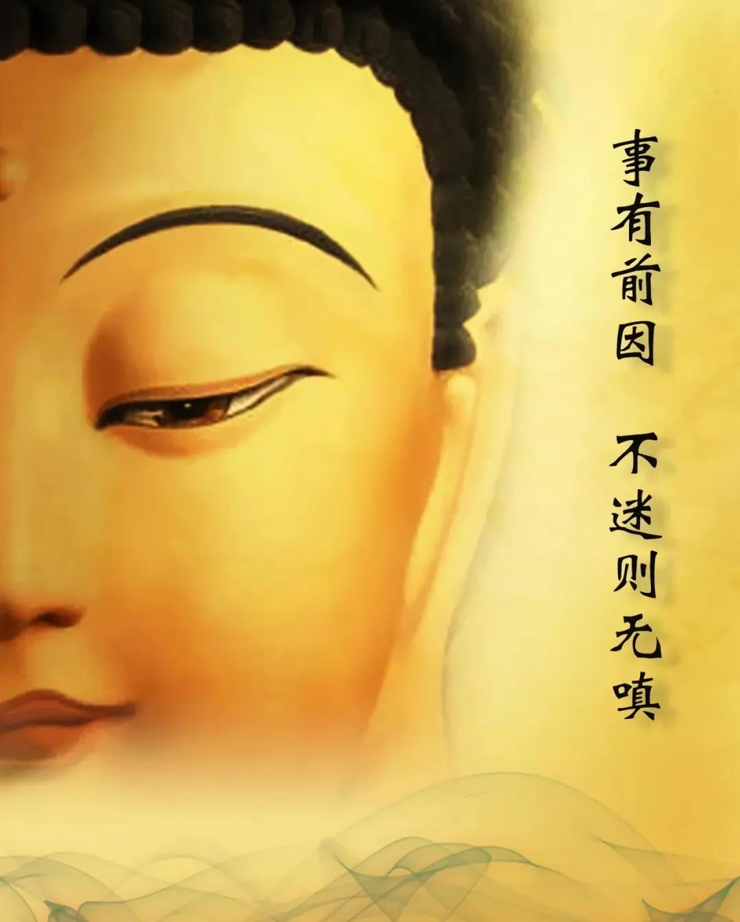 û����һ����������ֵ�õ�