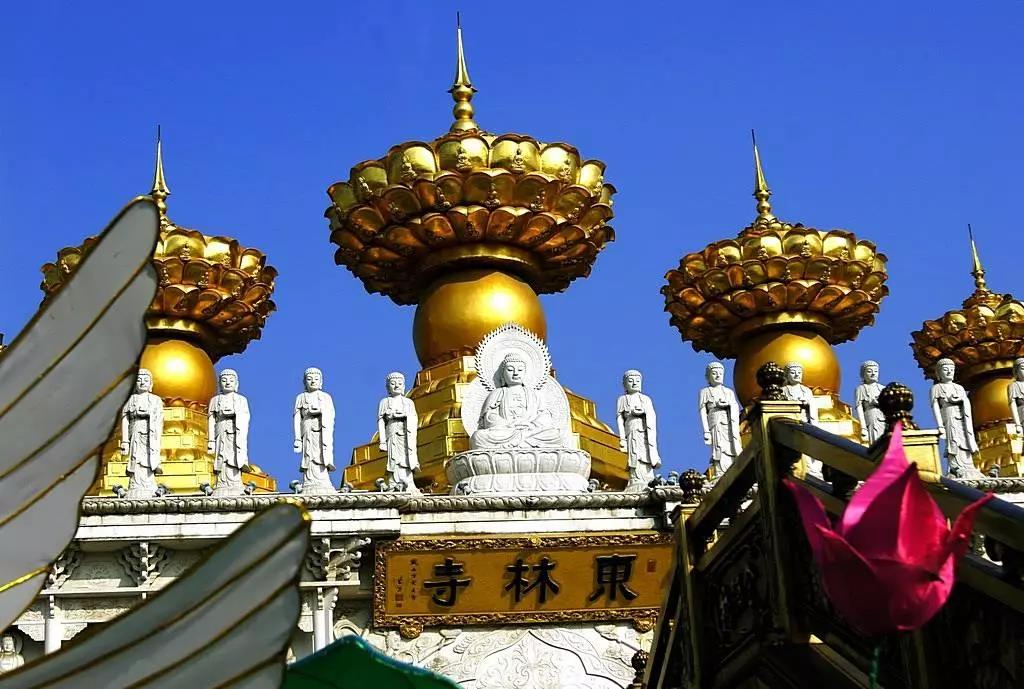 �����ް����ӷ�_����ţ��������������漣��