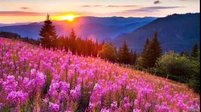 ��ѧ����վ������ֺ���