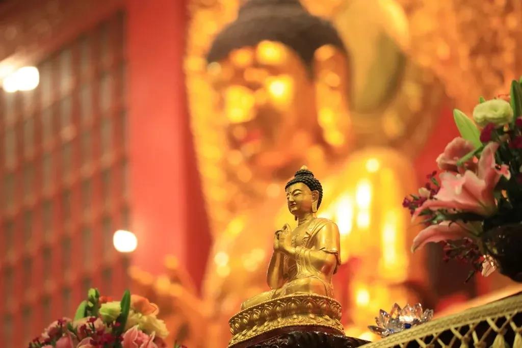 ƶ��ǹ���_���Ҳ�������Ǹ���