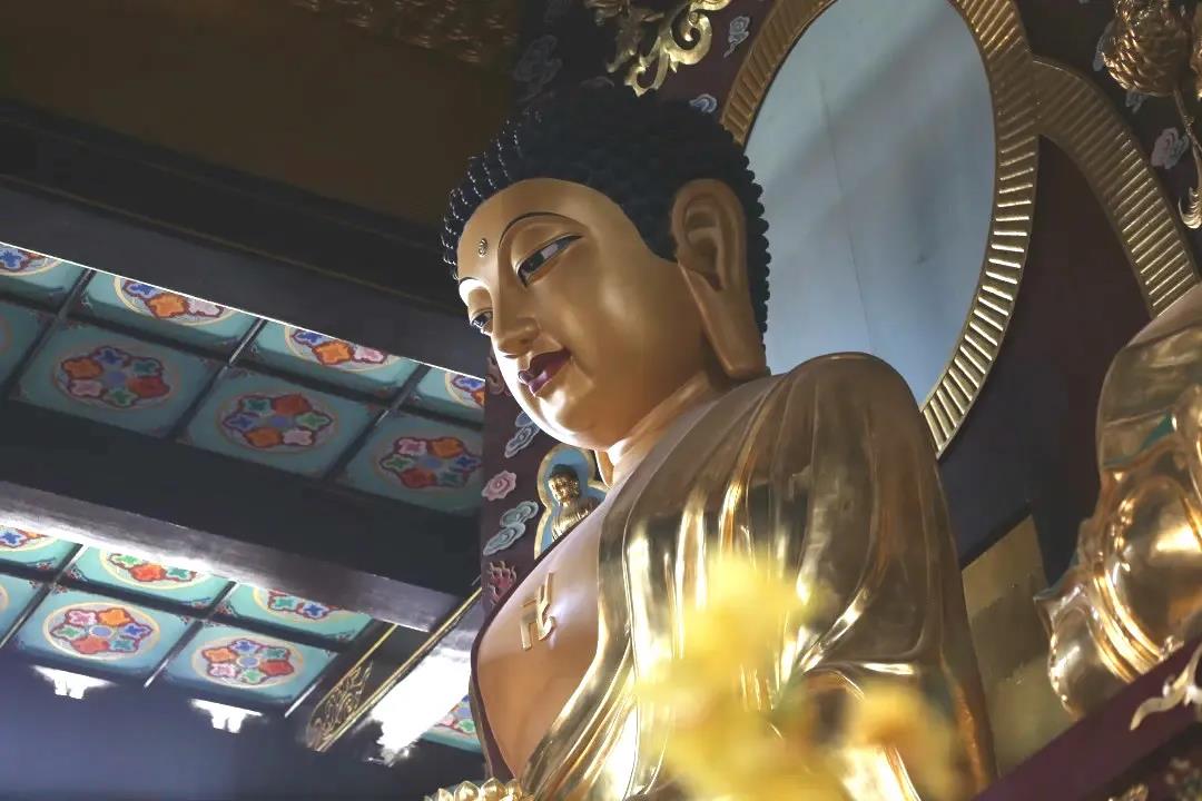 ������һ�������ķ���ӣ�