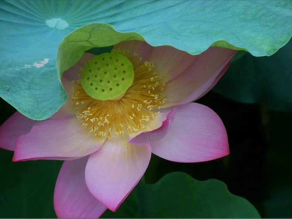 ��̶�������ɾ͵Ĳ����¼�