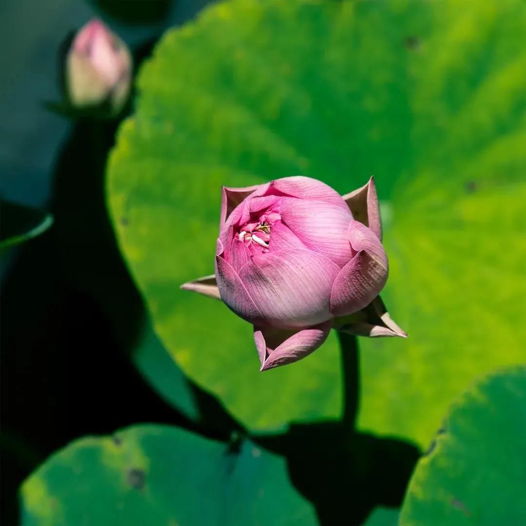 ǧ��Ҫ���һ��������������˵�����װ����~