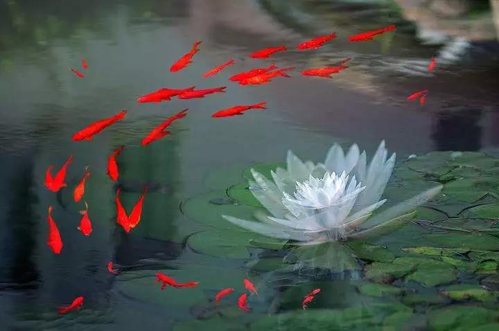 ����ʲô��������������ʲô���Ĵ���