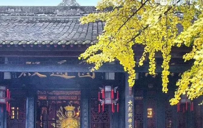 �����Ʊ����ж񱨣����ƶ񹦹��ܷ������