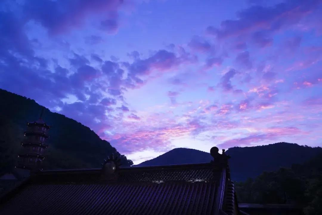 �����֪�������׷ɣ������һ��������