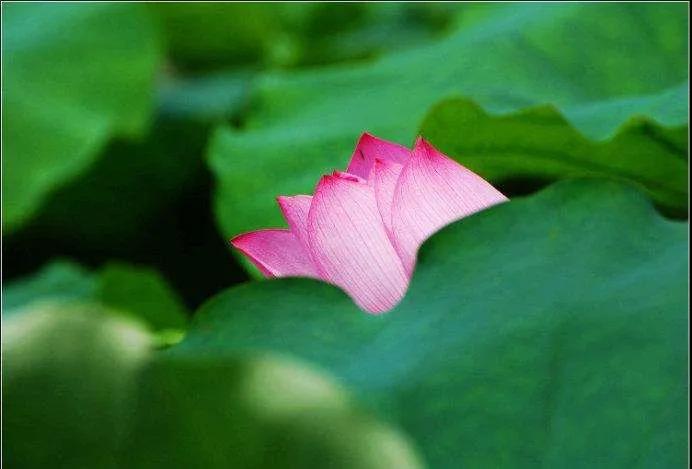 �����Ʋ�ס��ͷ����ô���أ�