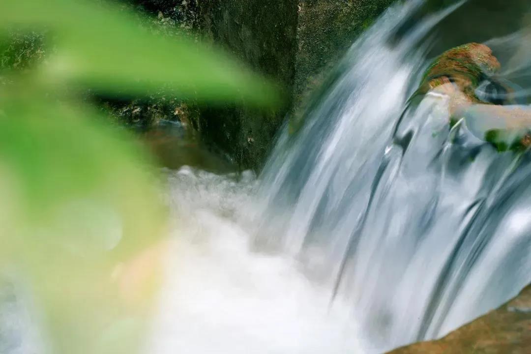 ֻҪ�����������ӣ���Ҫ����һ�������ȥѧ�����