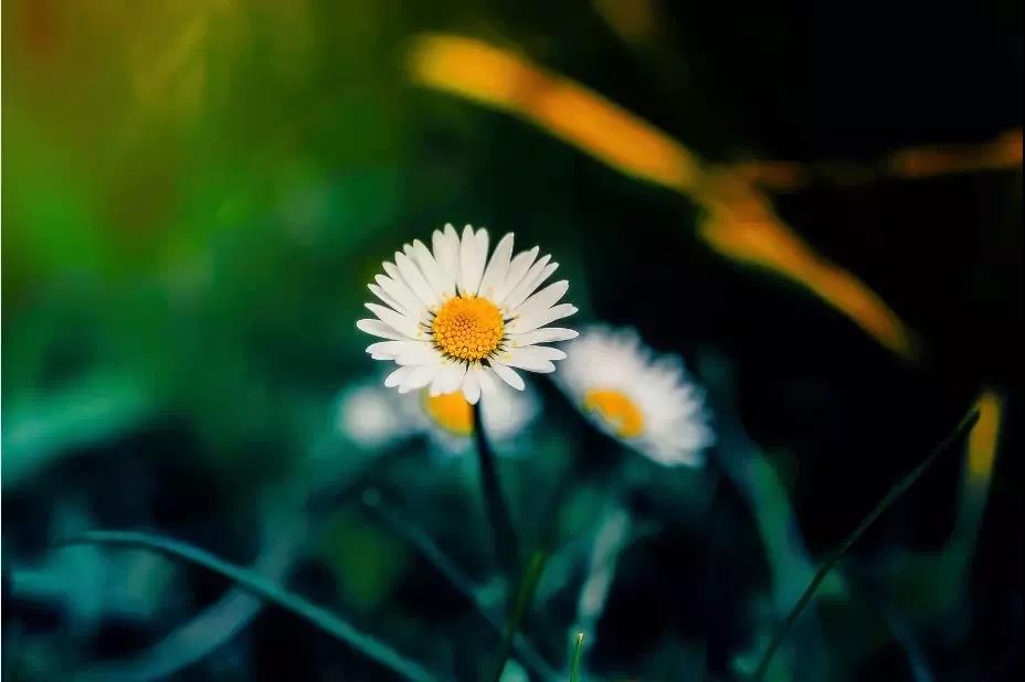 为何越念佛,烦恼脾气越大? 为何越念佛,烦恼脾气越大?