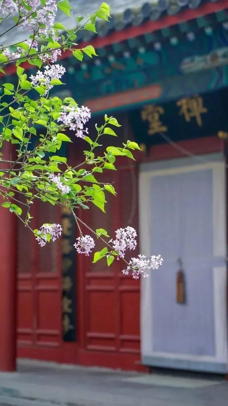 ���Ǹı�����������˵Ĺؼ�����