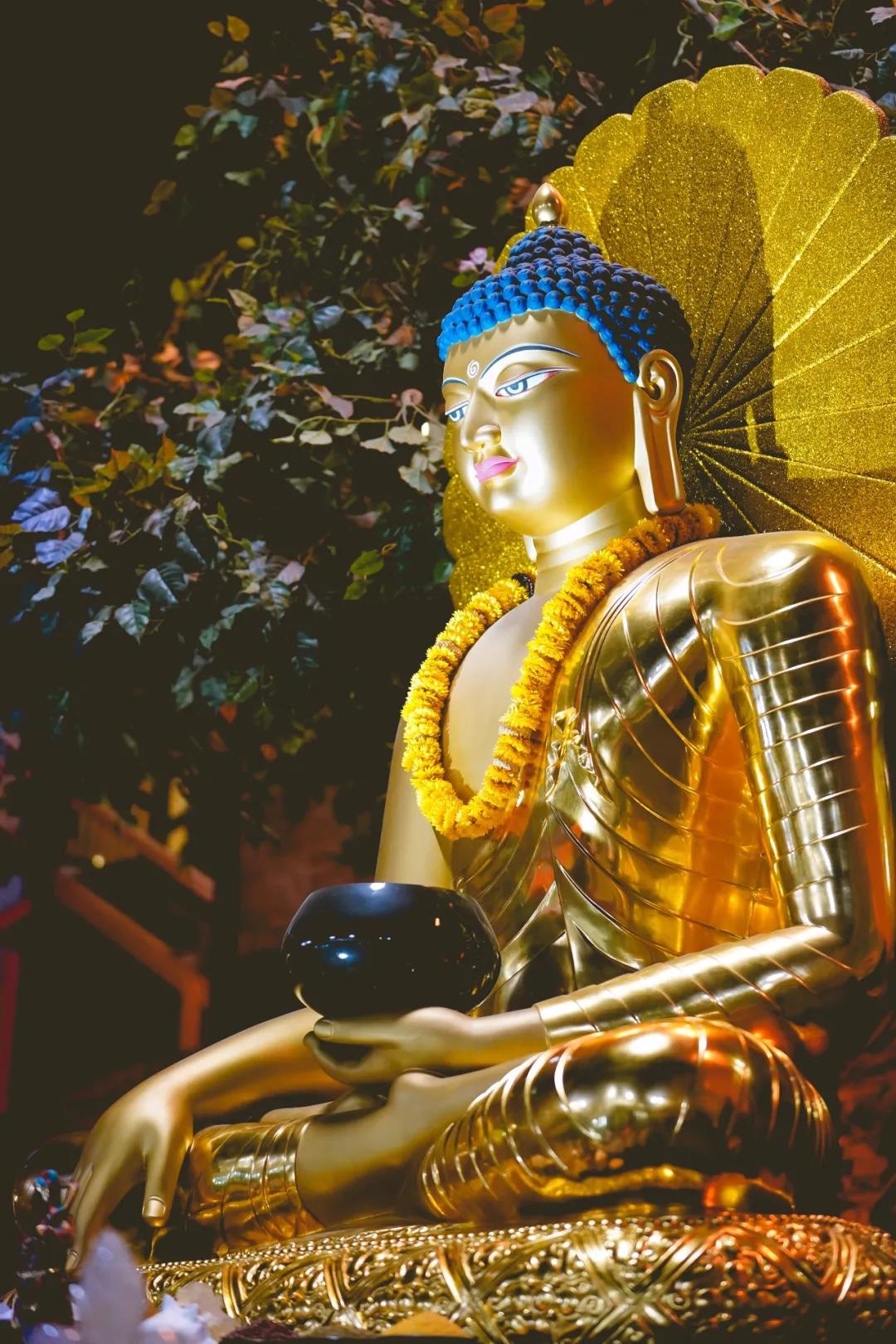 ������Ժ�ġ��پ�ʿ��������������