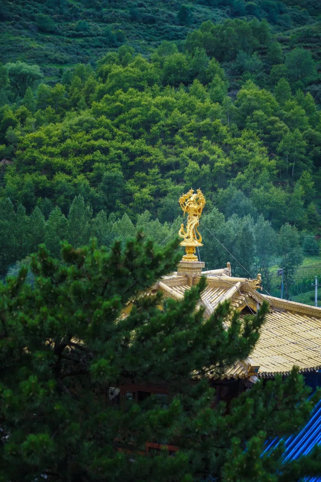 ������Ժ�ġ��پ�ʿ��������������