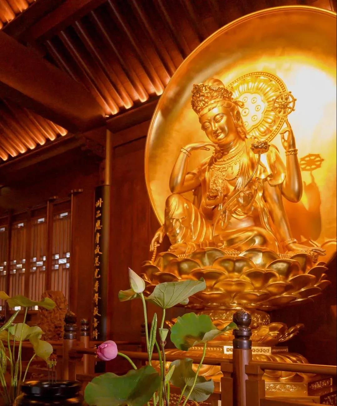 ���ľ��������ڽ�ʲô��