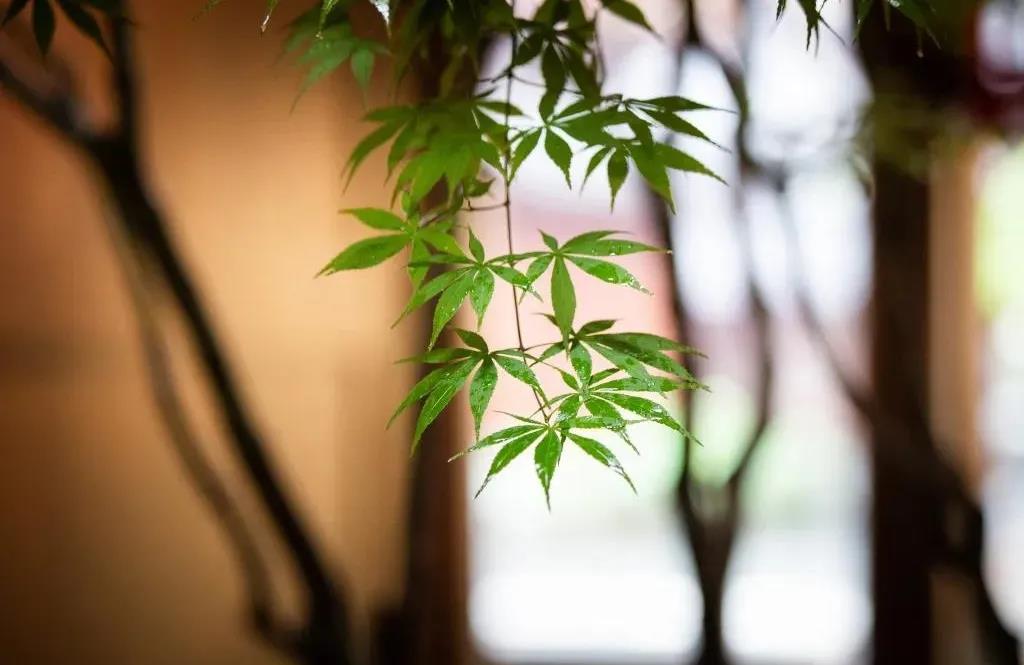 ���ľ��������ڽ�ʲô��