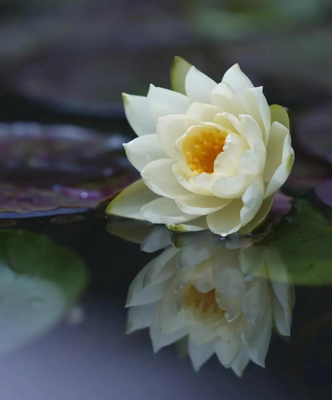 ���ľ��������ڽ�ʲô��