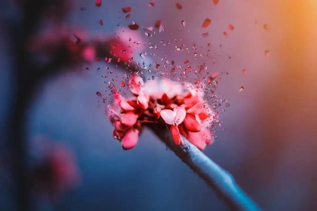 ����˵�޳������࣬Ψ�����ô���ѣ�