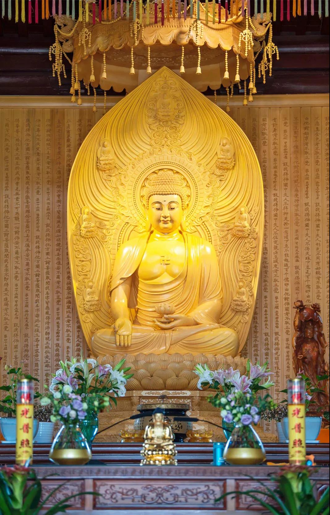 �ң��ֻ�����������ߺͱ�֯��