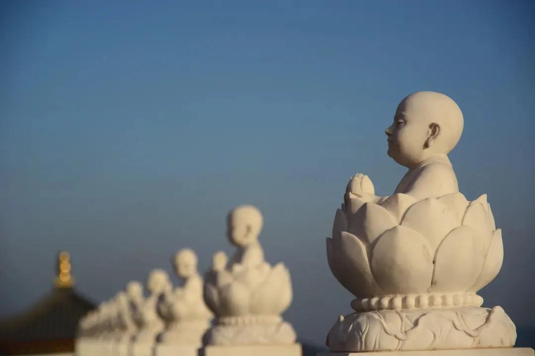 �ң��ֻ�����������ߺͱ�֯��