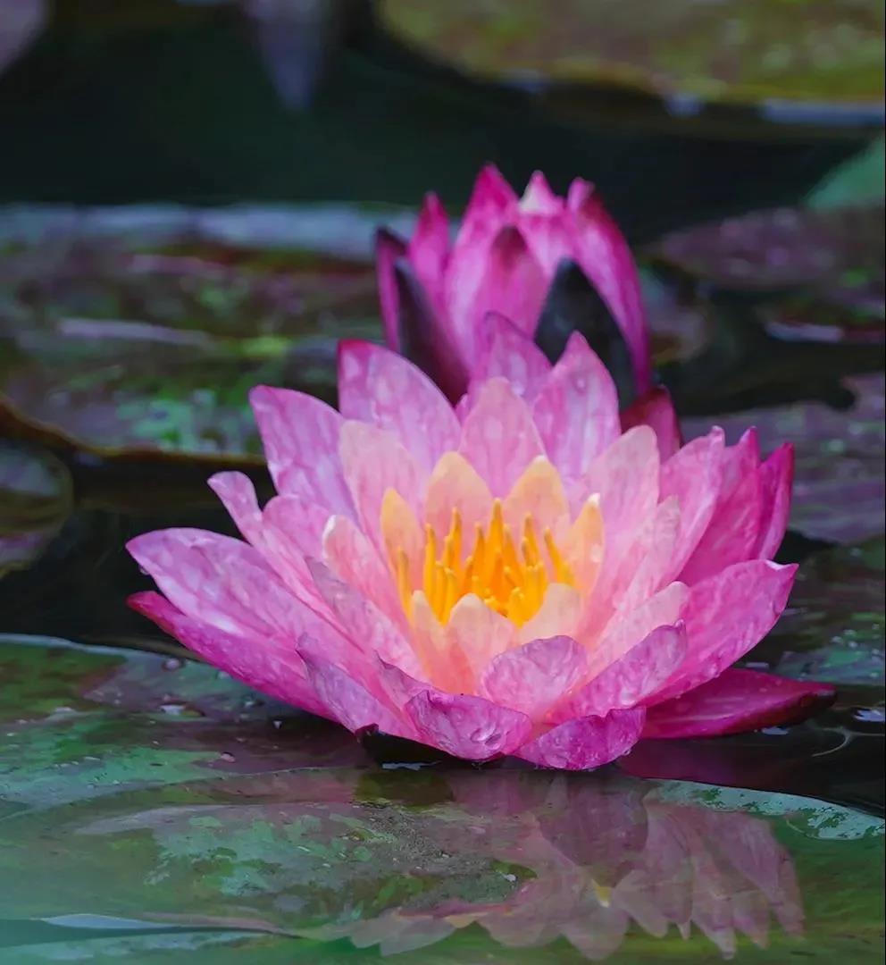 �������ֹ��£���Ҫ������������������