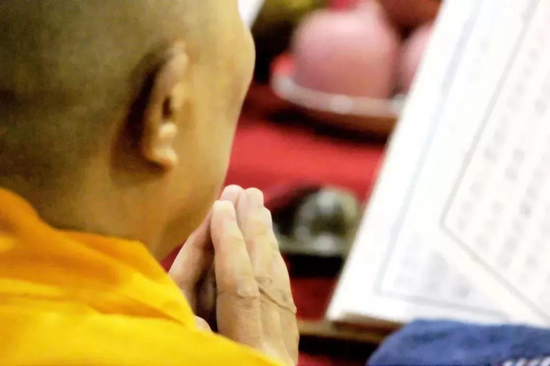 ѧ���֪��ʲô�Ǵ���ɽʩʳ��