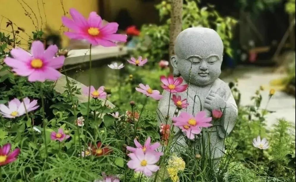 ���������ﲻ�룬�Ǽ�����������Ŷ���û��_��