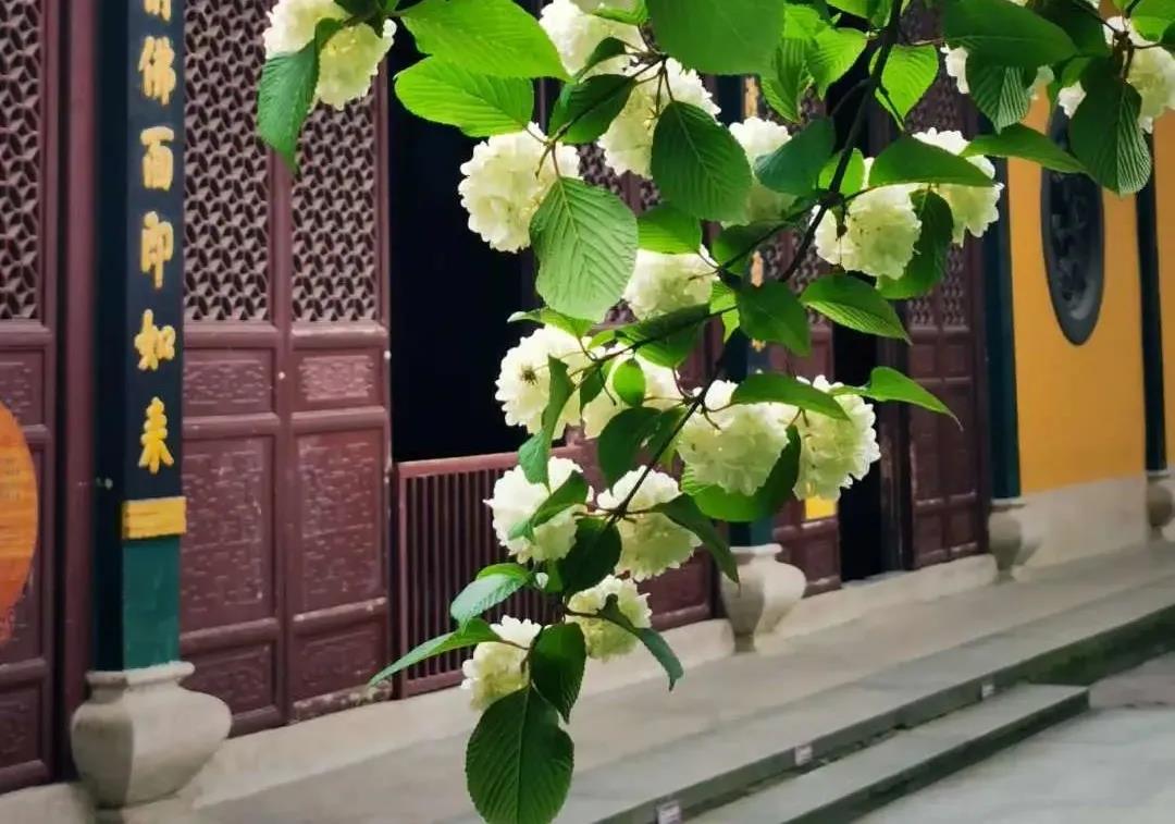 �д���ͼ�ģ�ҲҪ������ǰ����