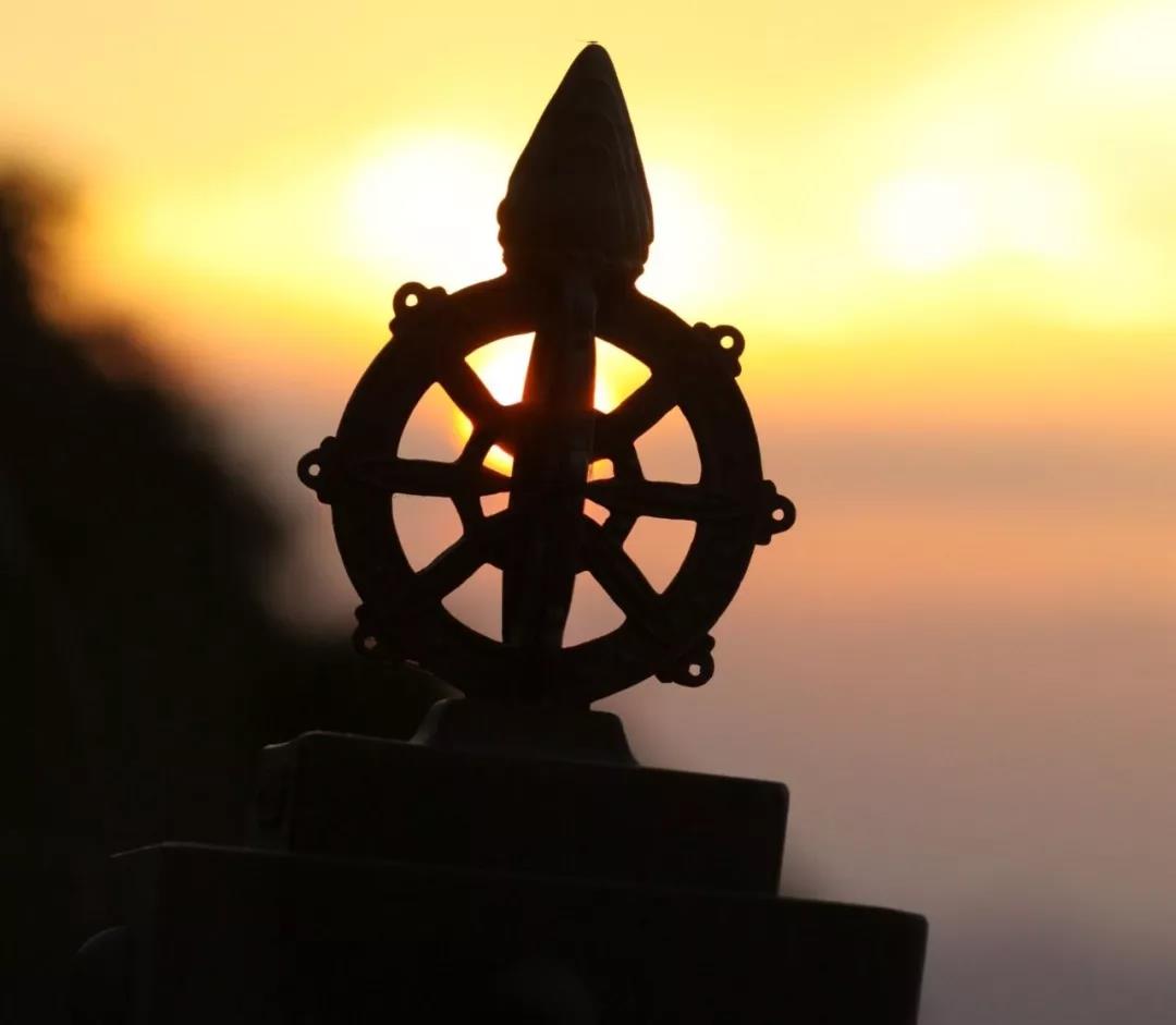 ��������ؾ���������ʮ���ϰ�һɨ���⣡