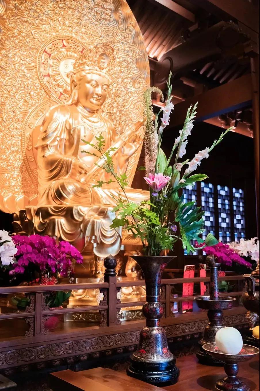 �޵��ˣ���Ҫ�徻����Ҫ̰ͼԤ��֪������