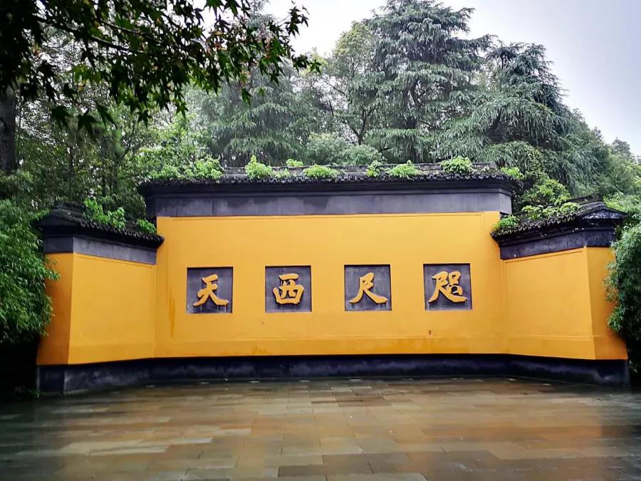 ����õ��������