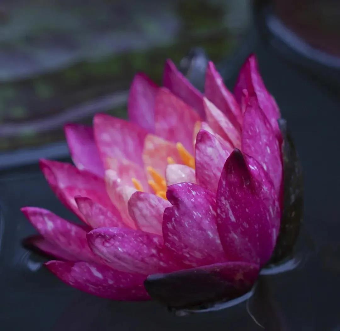 ���ն࣬ҵ���ԭ��������