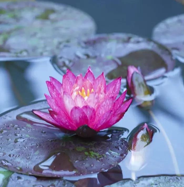 ���ʹ������ǿ����ֻ��ǿ�͹��𣿸���Ҫ�ǻۣ�