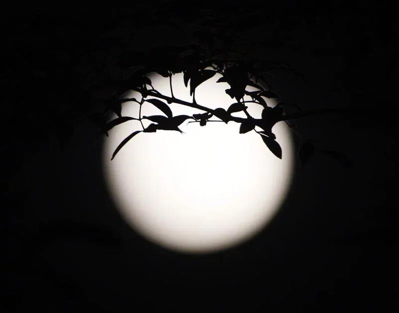 ���������壿��������Ĵ�Կա��ɲ���