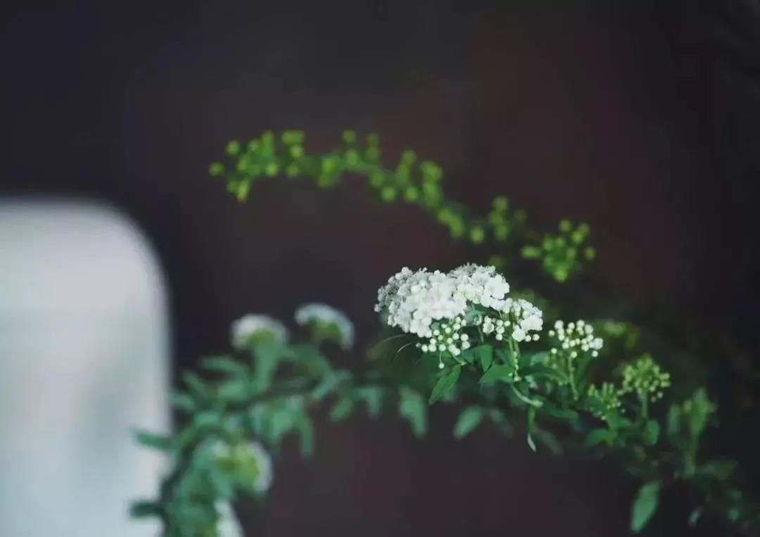 �ڼ�ѧ����һ���μ����ľ仰��