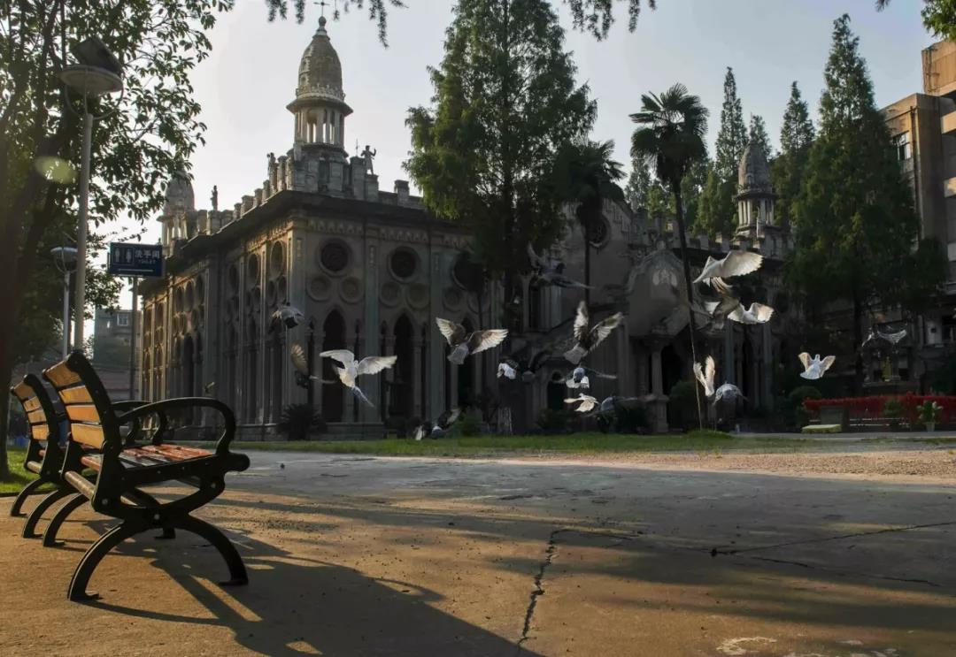 ����ȥ������������𣿡�����������