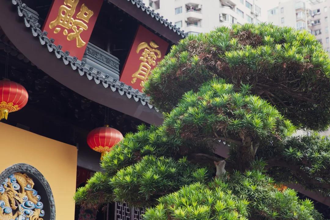 学佛路上,有没有想起最该感谢的人是谁? 学佛路上,有没有想起最该感谢的人是谁?