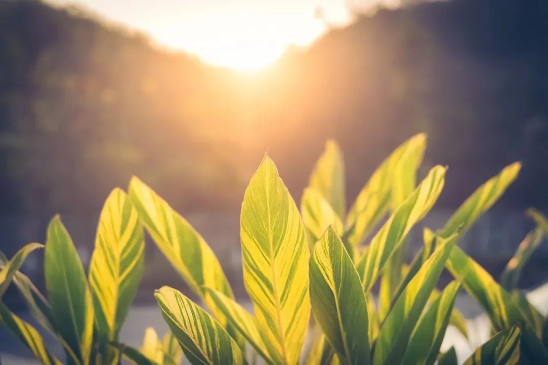 为何万事不顺?原来是这个原因 为何万事不顺?原来是这个原因