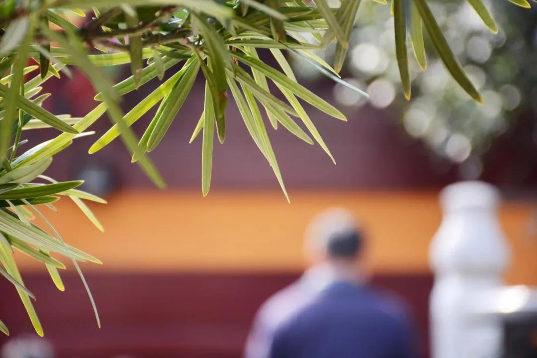 为何万事不顺?原来是这个原因 为何万事不顺?原来是这个原因