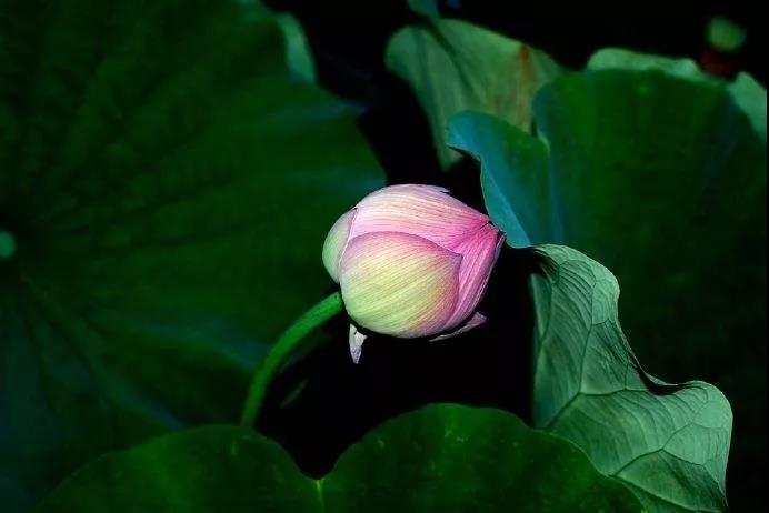 ���е���߾��磺һ��������