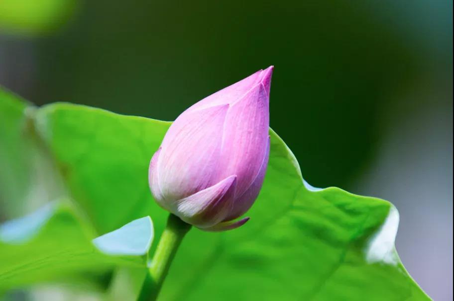 ���Ǳ���Ϊ���մ���һЩ�������ķ�ţ�