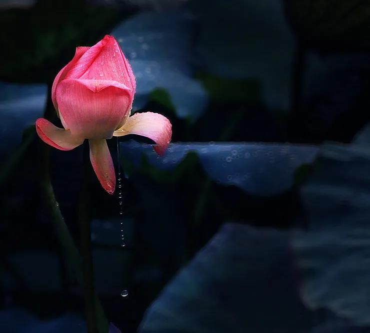 一个人有多少福报,完全由自己决定! 一个人有多少福报,完全由自己决定!